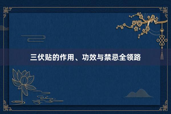 三伏贴的作用、功效与禁忌全领路